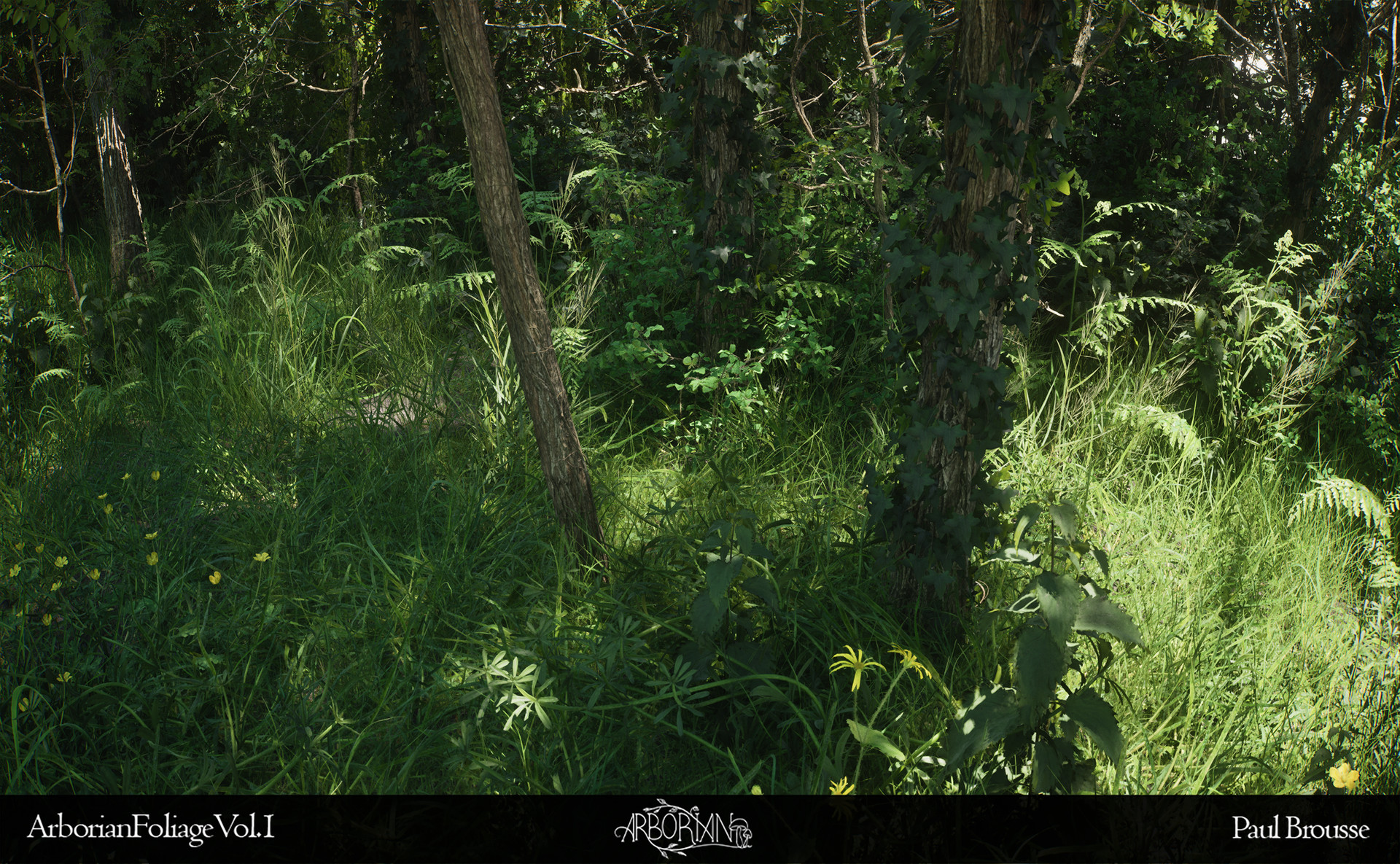 High-definition tree details and textures