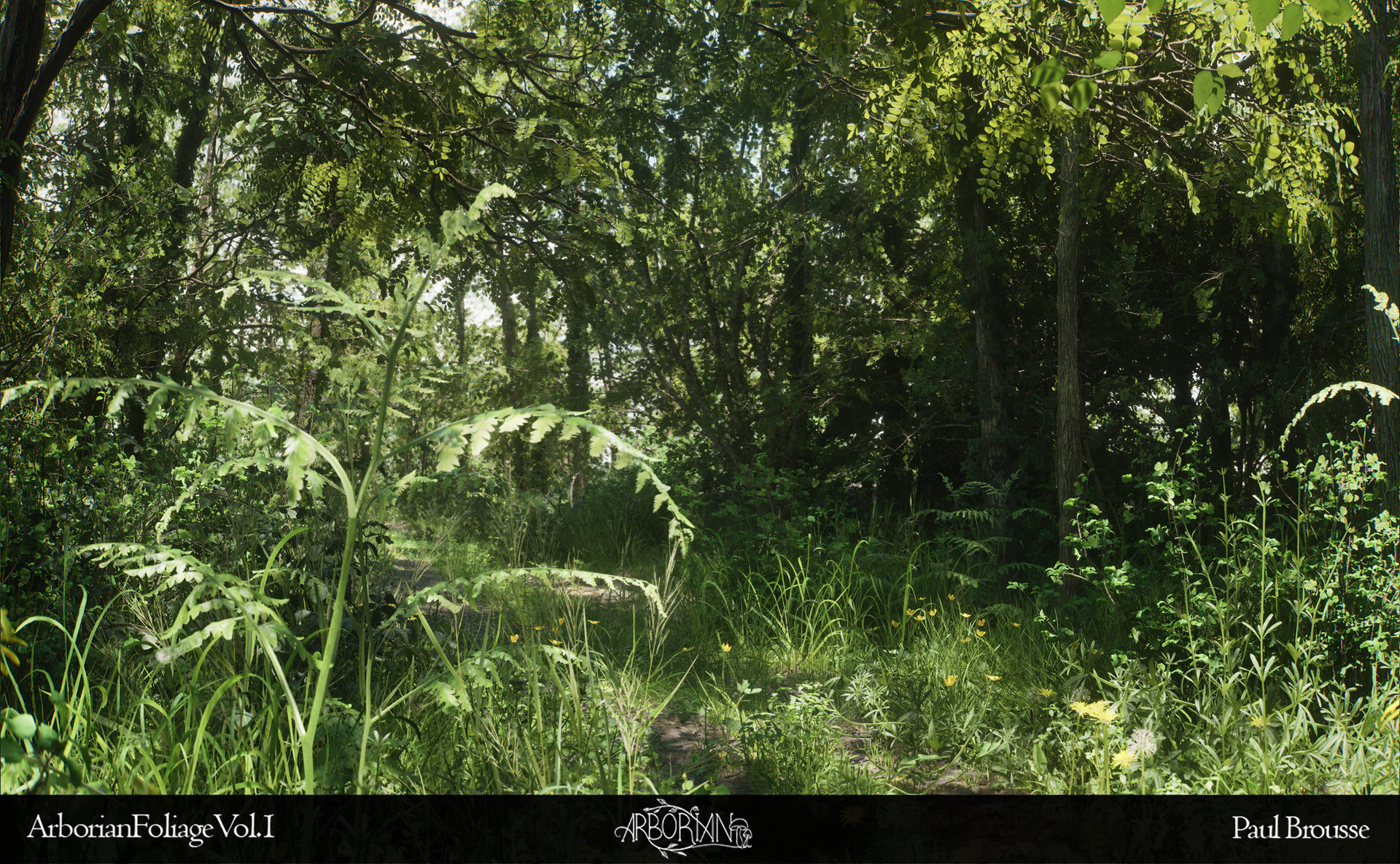 Forest biome materials showcase